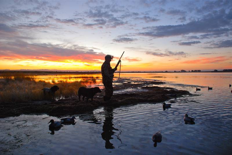 BattleHawk Armory Iowa Duck Hunting Waterfowl Hunting Seasons